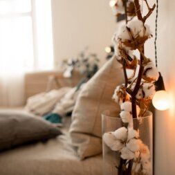 Endosurgicalcenterofflorida